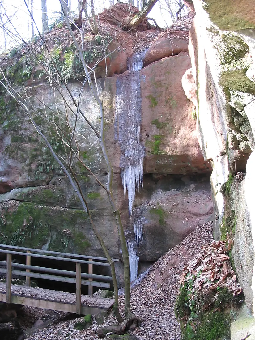Schnittlinger loch