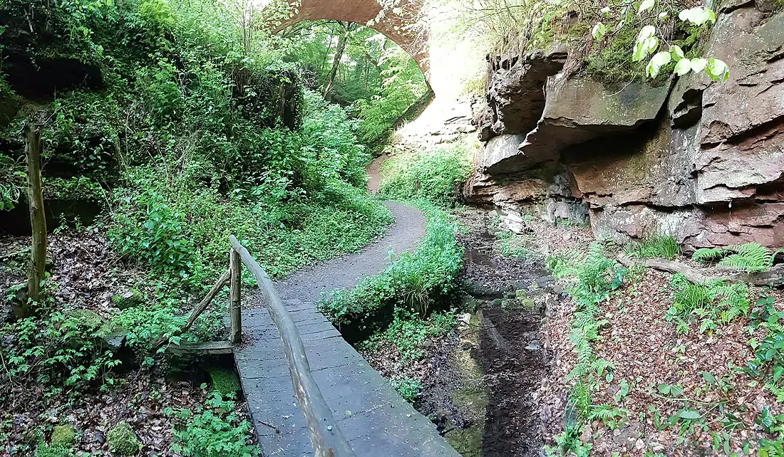 In der Klingenberger Seltenbachschlucht
