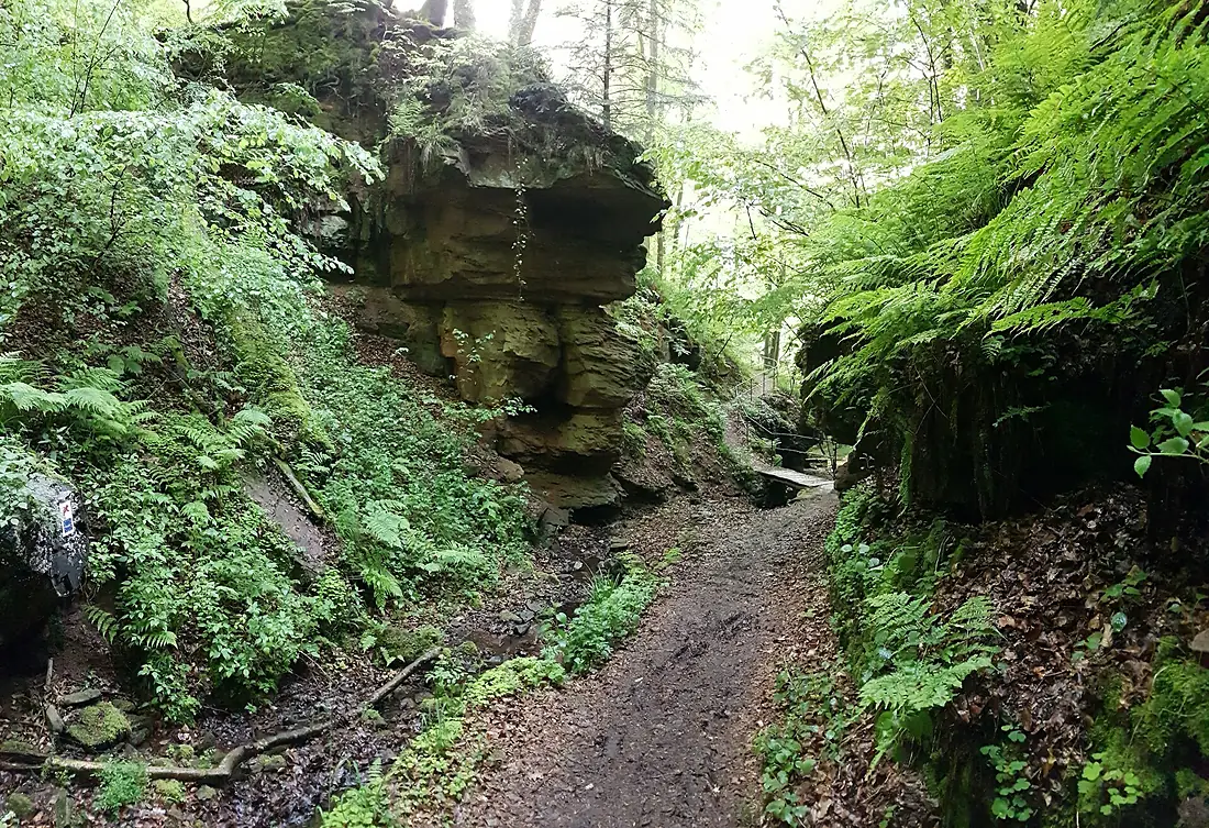 In der seltenbachschlucht in Klingenberg am Main