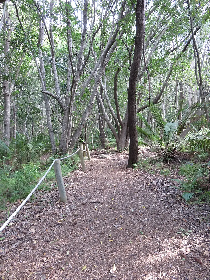 Kirstenbosch Braille Trail 2018