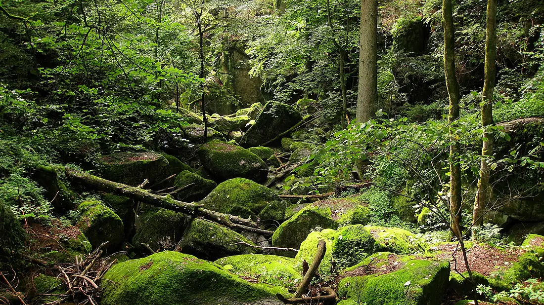 Stillensteinklamm