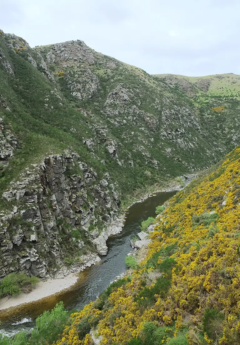 Taieri Gorge southeast of Flat Stream