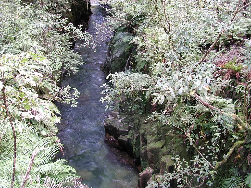 Whaiti-Nui-A-Toi canyon