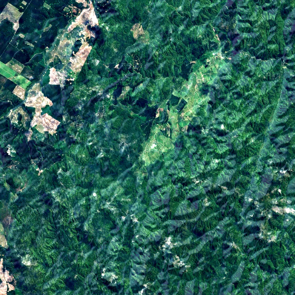 Te Whati Nui A Toi Canyon seen from above (Sentinel-2)