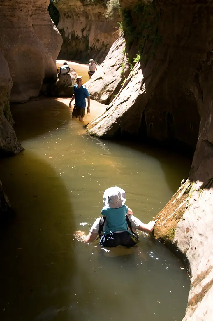 2009-06 Zion-38 (4507323424)