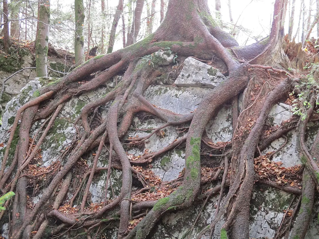 Trockene Klamm 011