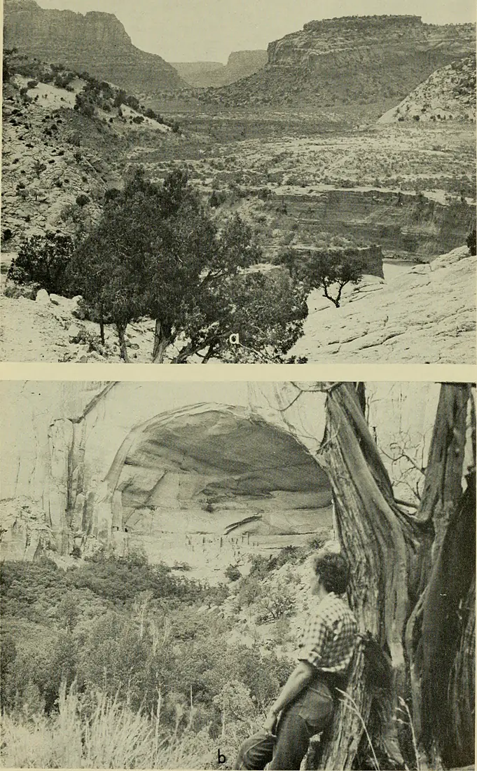 Bulletin (1963) (20425366835)