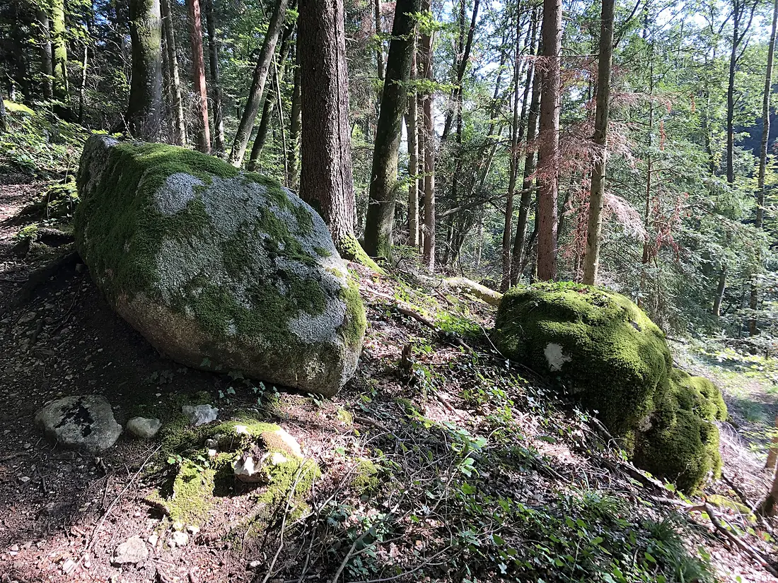 Findlinge Twannbachschlucht