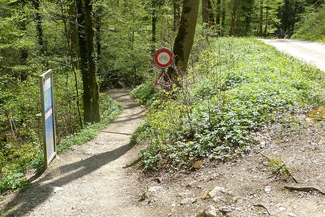 Twannbachschlucht-20250427-03