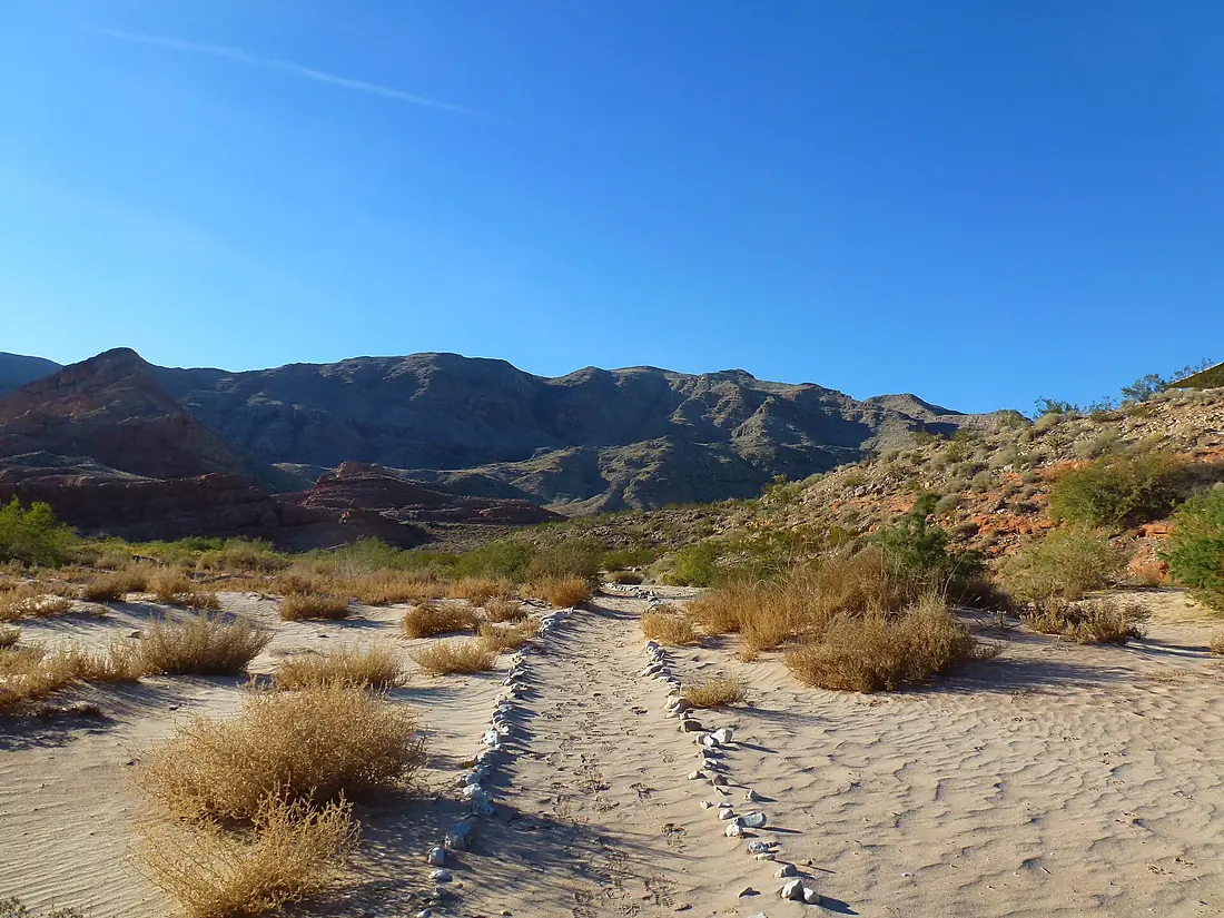 A Bureau of Land Management Trail Along the Virgin River, 2012 - panoramio