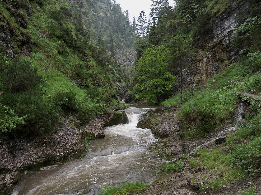 Biosphärenregion Berchtesgadener Land Weißbachklamm Juni 2017 2