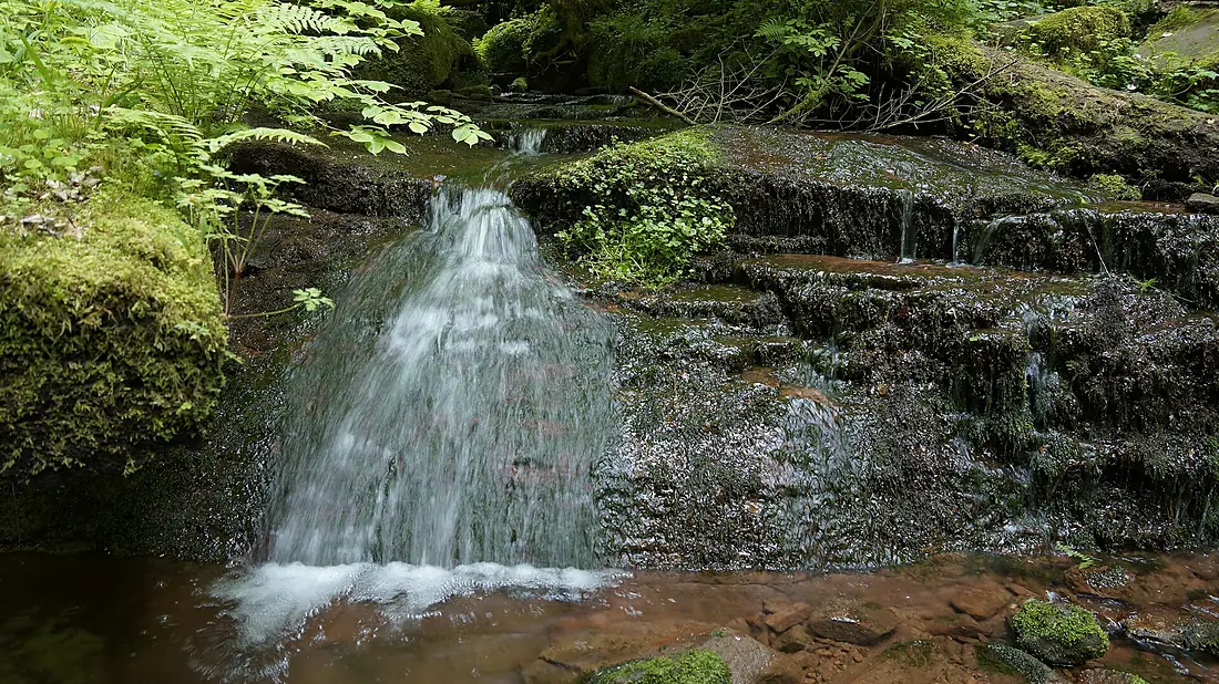 Wolfschlucht bei Zwingenberg 5